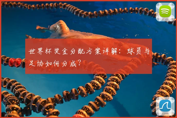 世界杯奖金分配方案详解：球员与足协如何分成？