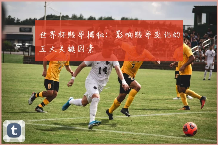 世界杯赔率揭秘：影响赔率变化的五大关键因素