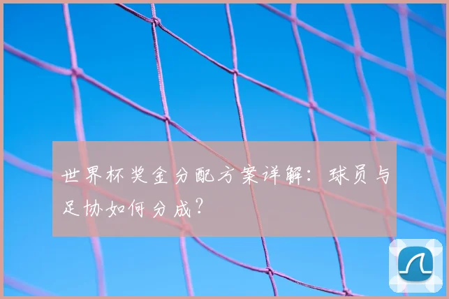 世界杯奖金分配方案详解：球员与足协如何分成？