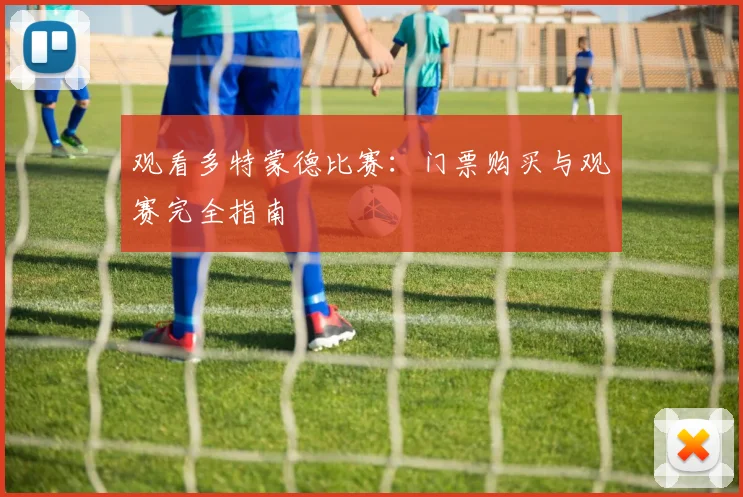 观看多特蒙德比赛：门票购买与观赛完全指南